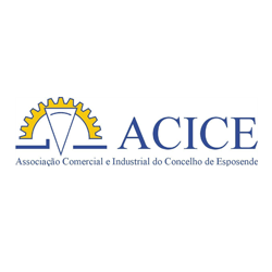 acice.png